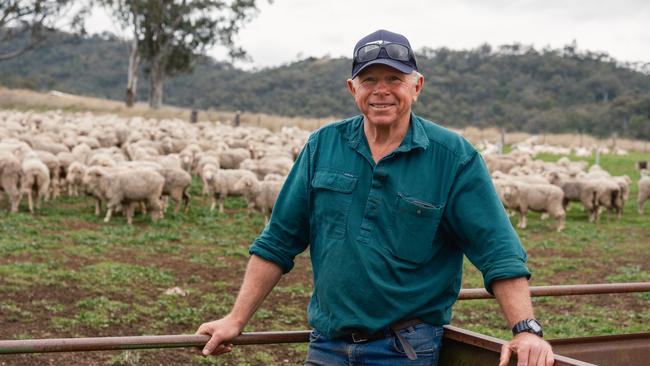 Farmer Tim White with sheep on his farm near Tamworth. He says putting up transmission lines will disrupt lambing.