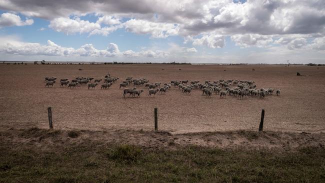 HOLD for HERALD SUN. CONTACT PIC DESK. Victorian Drought. Farmers in the Giffard West region of Gippsland in Victoria are doing it tough. They have not seen significant rain fall since October 2017. Dan Boland has been forced to cut his stock in half since dry conditions decimated his paddocks at his Darriman property. Picture: Jake Nowakowski