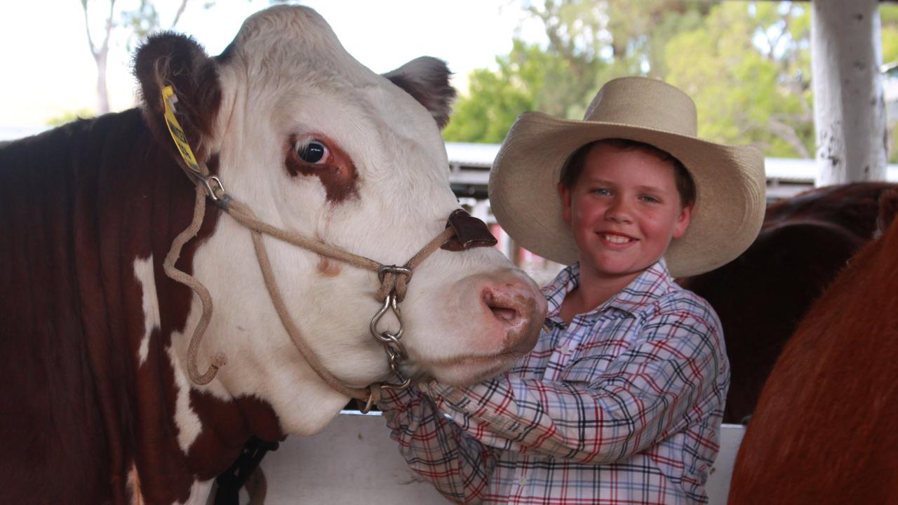 Freestone cattleman Riley Bacon enjoyed roaring success at the Allora Show 2019.