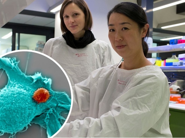 Austrlaian researchers trying to cure cancer with covid