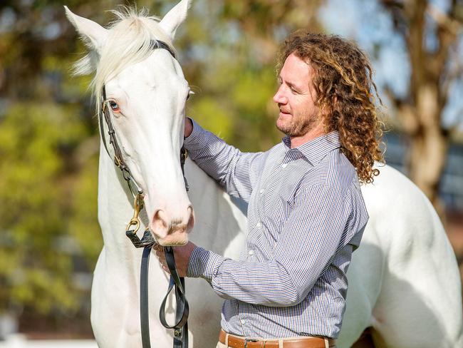 Ciaron Maher’s white two-year-old colt already has cult status | Herald Sun