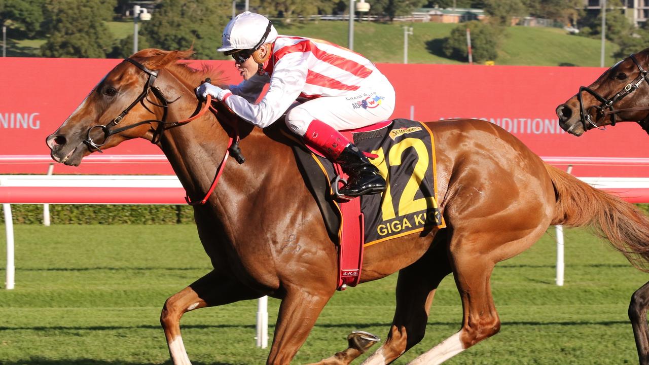 Giga Kick will be one of the star attractions at Randwick on Saturday. Picture: Grant Guy.