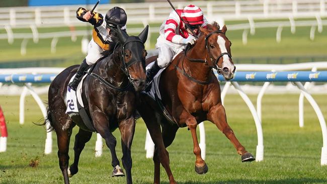 Dashing (right) and Here To Shock (left) fought hard in the last 200m of their clash at Caulfield on Saturday. Picture: Racing Photos via Getty Images.