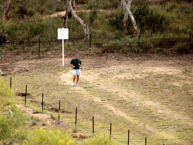 Curtis is allowed to roam free in the paddock at “The Farm”. Picture: John Grainger