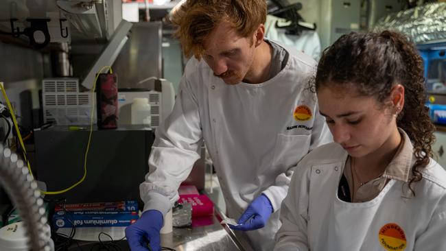 DNA collection by researchers in the waters off Western Australia. Source: Minderoo Foundation OceanOmics