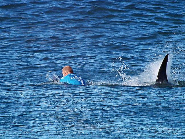 Mick Fanning is attacked by a shark. Picture: WSL/WSL via Getty Images