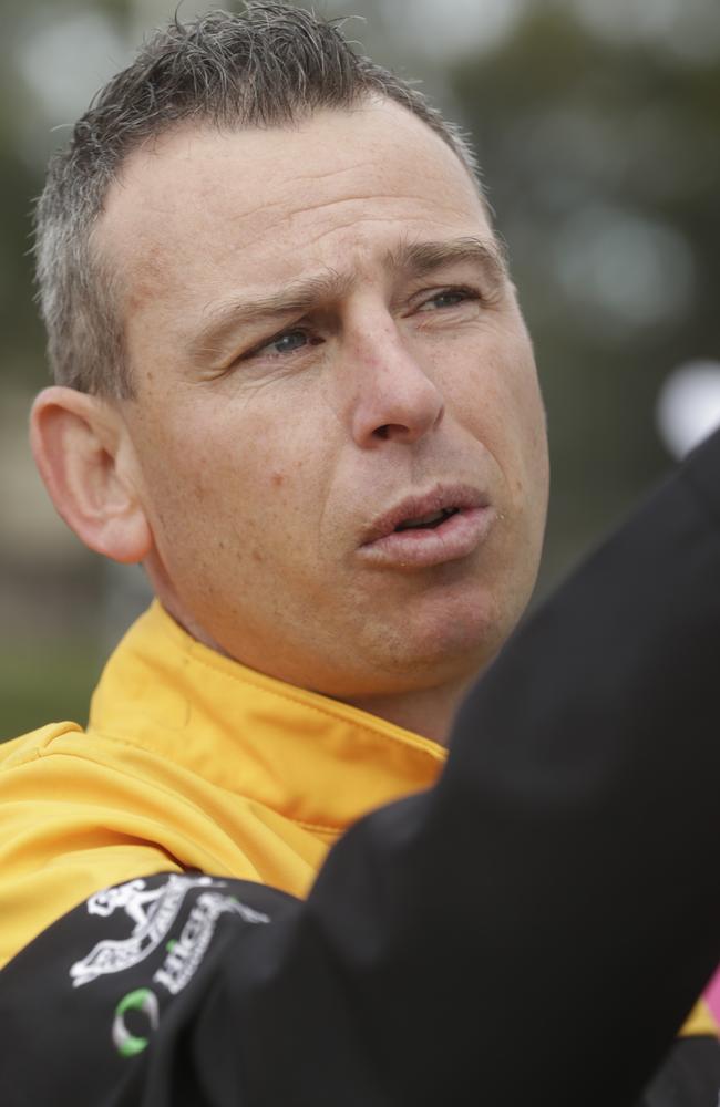 Former Stingrays coach Craig Black is tipped to be appointed coach of Collingwood’s VFL team.