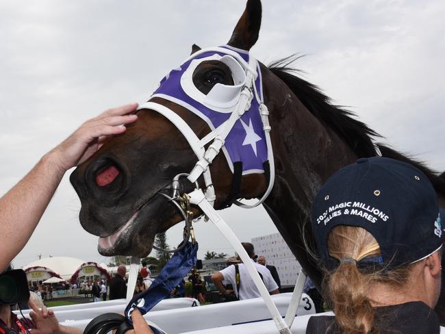 Winner of race 5 Invincibella owner Matt Stiff celebrates at the Magic Millions race day at the Gold Coast Turf Club. (Photo/Steve Holland)