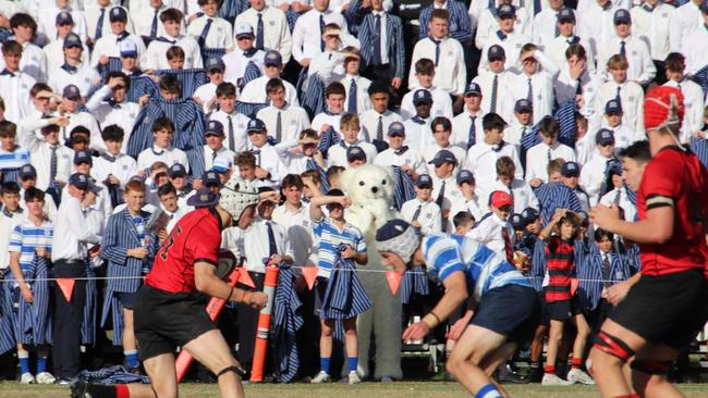 GPS First XV rugby action. Photo: Megan Condon.