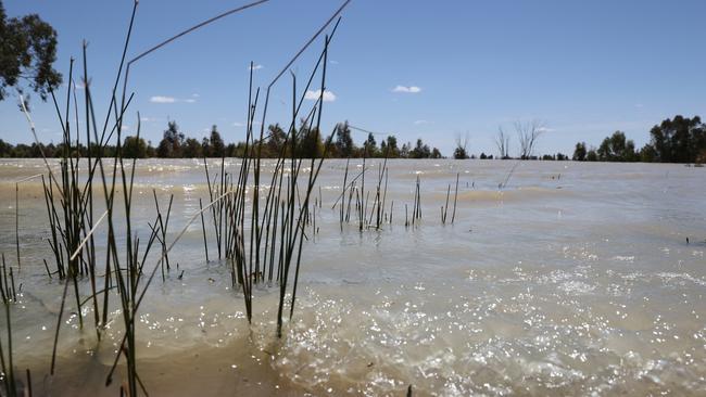 One of the Menindee Lakes near Broken Hill in western NSW. Picture: Richard Dobson