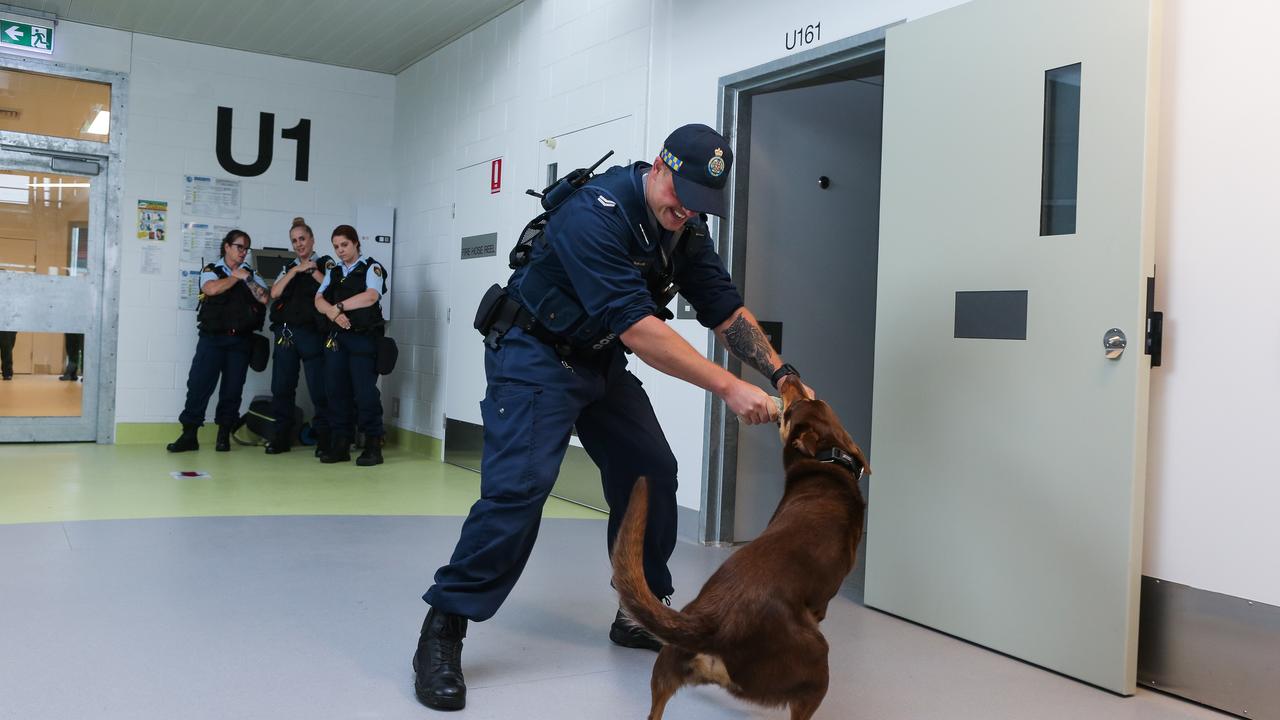 Dillwynia Correctional Centre: Photos Show Inside Australia’s Biggest ...