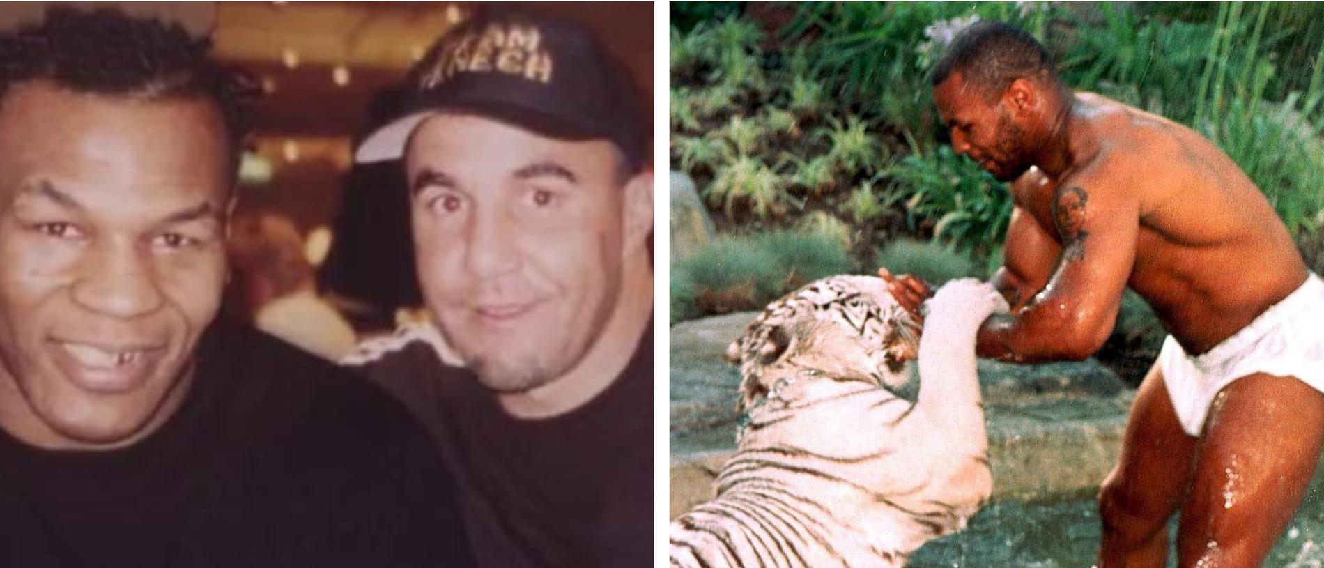 Тайсон с блогером. Майк Тайсон с тигренком. Mike Tyson с тигром. Тигр майка Тайсона. Майк Тайсон с тигром фото.