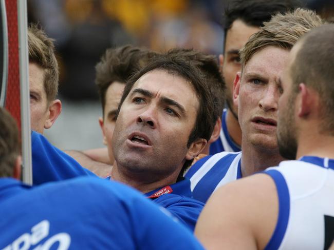 Brad Scott says he’s committed to North Melbourne. Picture: Wayne Ludbey