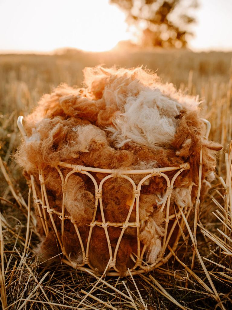 The alpaca wool in its raw form. Picture: Nicole Drew Photography