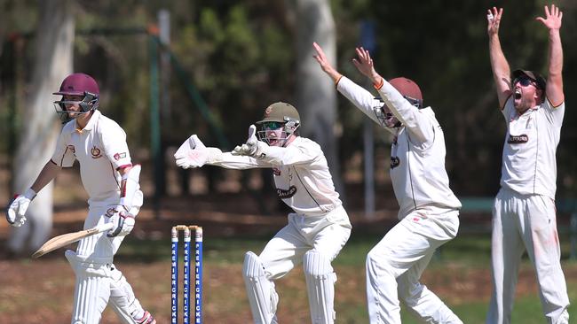 Kensington wicketkeeper Lucas Forude, short leg, Henry Dall, and slip Jake Brown, appeal unsuccessfully for LBW against Tea Tree Gully’s Josh Macey. Picture: AAP Image/Dean Martin