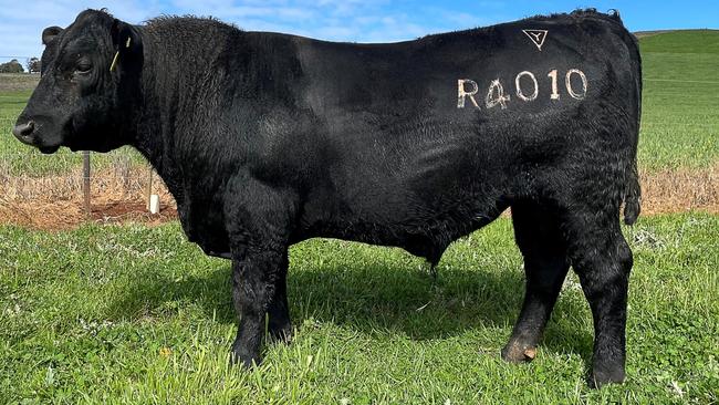 Rural Australia is booming post Covid lockdowns, with this Angus bull recently selling for a whopping $130,000.