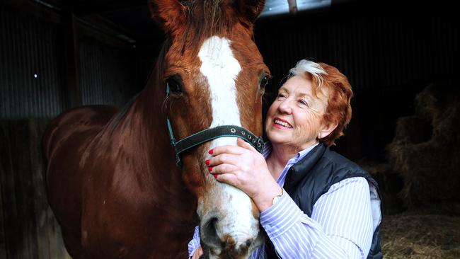 Thoroughbred Racing SA chairwoman Frances Nelson … South Australia’s racing industry will receive a $24 million lifeline.