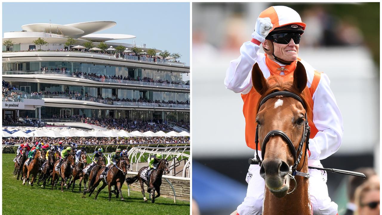 Melbourne Cup form guide: The verdict on every horse and  roughie no one is talking about