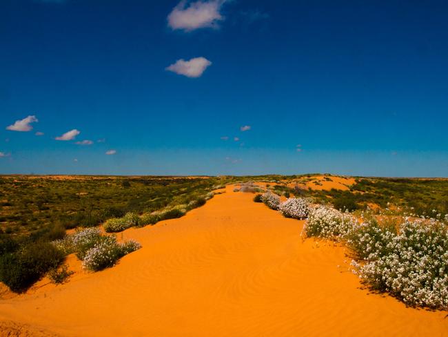 SA now home to Australia’s largest national park