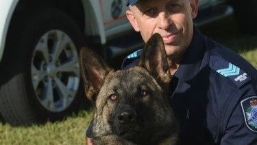 PD Rambo with handler Sgt Ian Grigoris. Picture Police Media