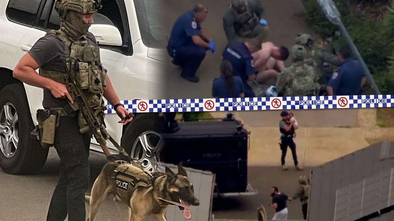 Gunman jumped on trampoline during siege, hero police dog praised