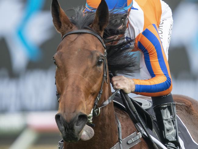 Tommy Berry on Melody Belle takes part in an exhibition gallop.