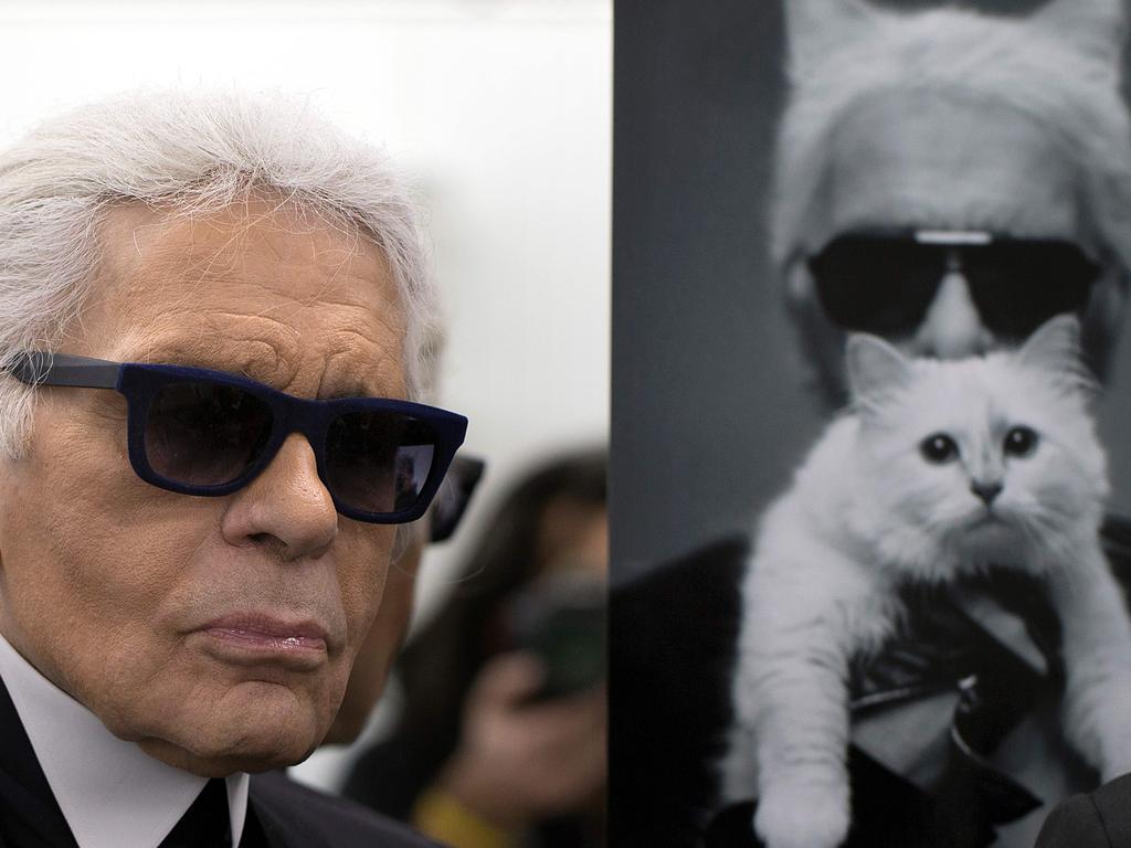 I’d honestly trade in my current life to be Choupette. Picture: Joël SAGET/AFP