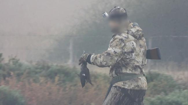 A duck hunter at Lake Connewarre. Picture: Supplied