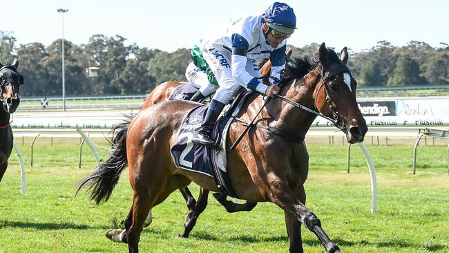 Damien Oliver will pilot Miami Bound in the Wakeful Stakes. Picture: Getty Images