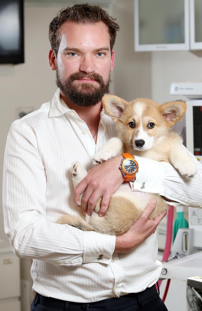 Vet, Dr Sam Kovac. Picture: Richard Dobson