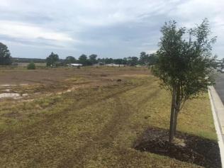 Pimpama land for sale.