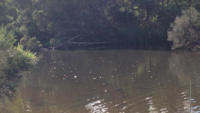 Fish were left gasping for air at Blackburn Lake.