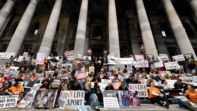 Protesters argue against live exports of animals outside Parliament House, North Terrace. Picture: Tricia Watkinson