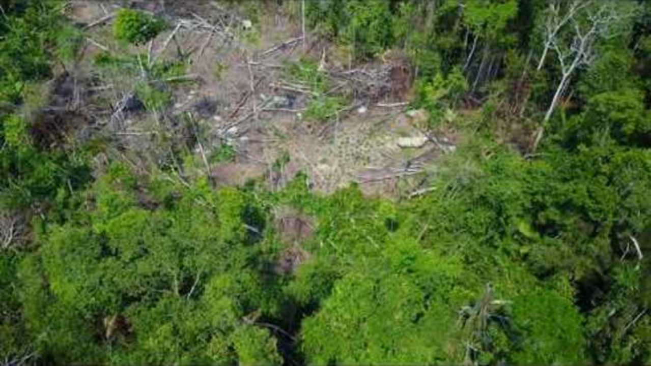 Rare Drone Footage Shows Amazon Tribe in Brazil