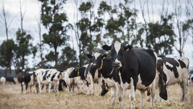 The international trend is not good news at the farmgate, according to UDV vice president John Keely. Picture: Zoe Phillips