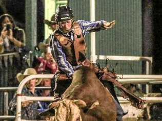 HOLD ON: Mount Walker's Ty Thomson is focusing on his bull riding. Picture: Cindy Laroo