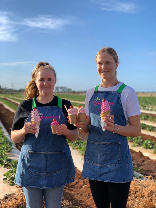 NEW FLAVOUR: Clemence Roudaut and Maddie Rehbein with some freshly made ice creams at Tinaberries.