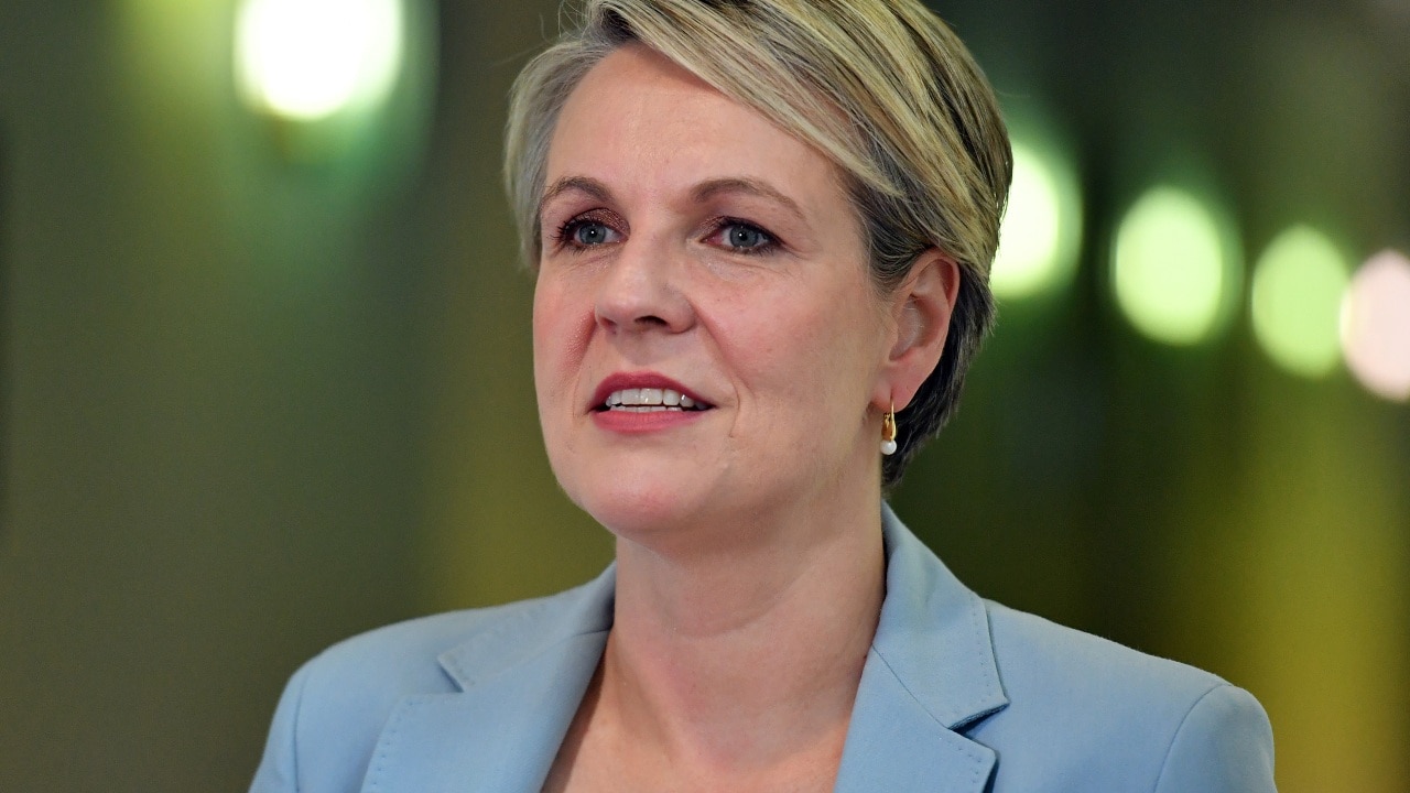 Labor refuses to rule out ‘standalone’ federal government legislation ...