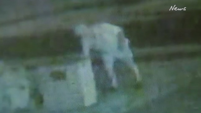 Hunt is on for man who threatened dogs