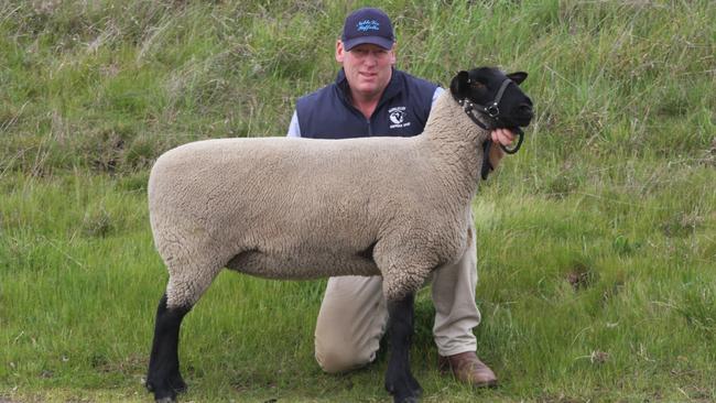 Hot streak: Brett Stokes from Noblelee Suffolk stud with his interbreed champion ewe.