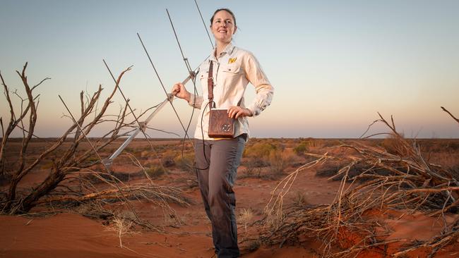 Reintroduction technical officer Melissa Jensen, tracking Quolls on the 123 square km wildlife reserve Arid Recovery at Roxby Downs. Picture: Brad Fleet