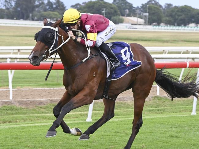 Flightcrew is chasing her fourth win for the preparation at Rosehill on Saturday. Picture: Bradley Photos