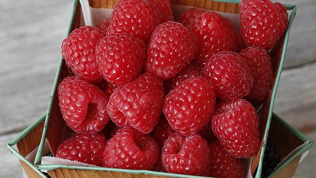 Raspberries are expensive at $9 a punnet but the cost of production is higher than other fruits. Picture: Supplied.