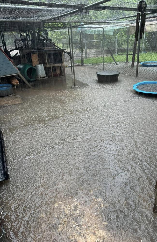 Flooding at Oak Valley soaked vital feed and supplies at Michelle's Ark Animal Rescue. Picture: Supplied