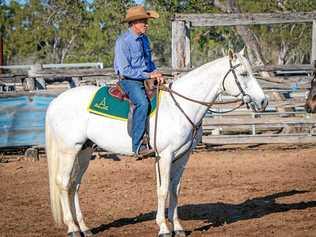 Winner of the NQMC Open Stockman's Challenge was well known campdraft competitor Ricky Hopkins from Garnant aboard the Hopkins Family owned Heritage Australian Stock Horse grey stallion Superact Shirz. Picture: Jody Large