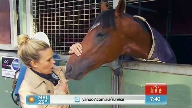 Melbourne Cup horse takes a bite out of Edwina