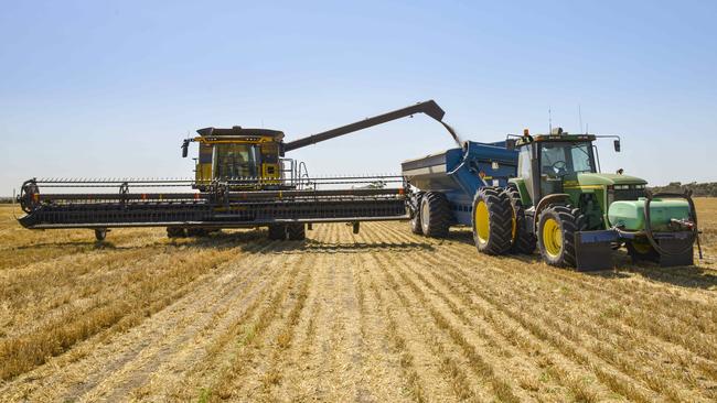 Sales pressure: Eastern Australian wheat needs to be more aggressively priced to sell if the crop forecasts are realised. Picture: Dannika Bonser