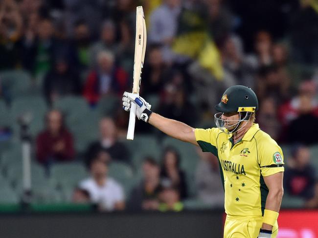 Watson salutes after notching a half century against Pakistan.