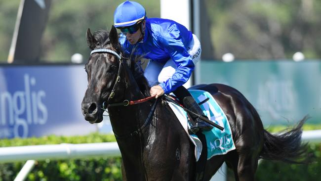 Kementari won three in a row last prep, including the Randwick Guineas. Picture: AAP