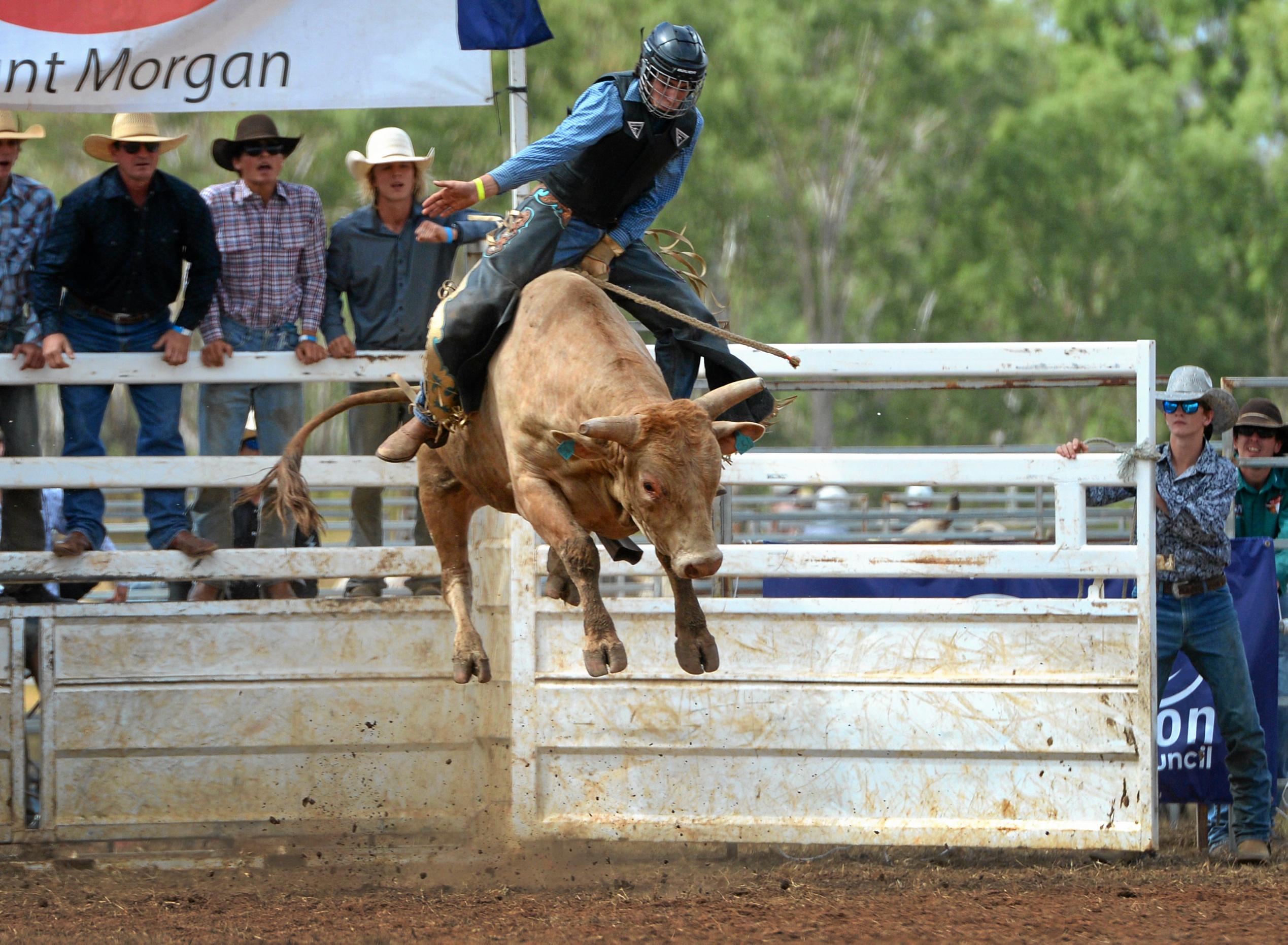 GALLERY Three milestones at actionpacked Mt rodeo The